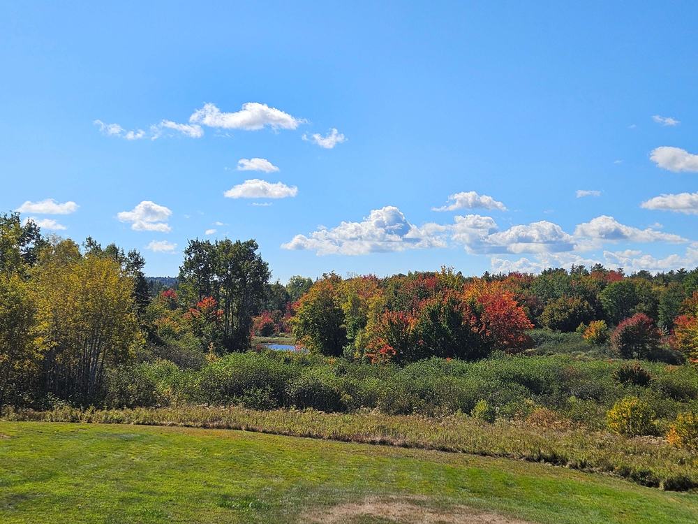 Autumn maples turning red and orange beyond the farm’s meadow