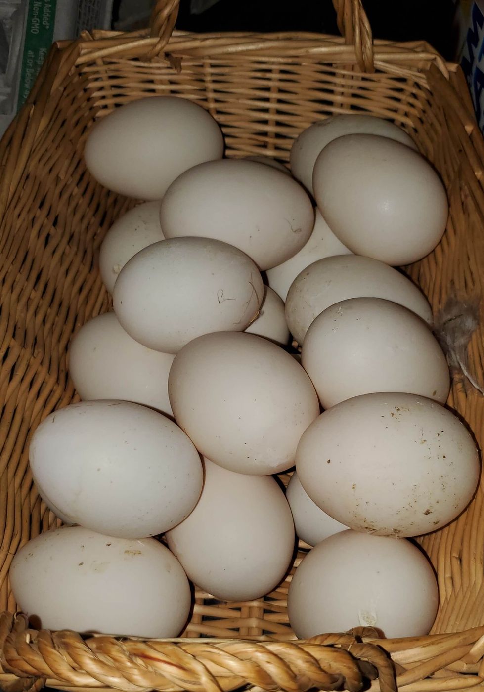 A wicker basket full of white duck eggs
